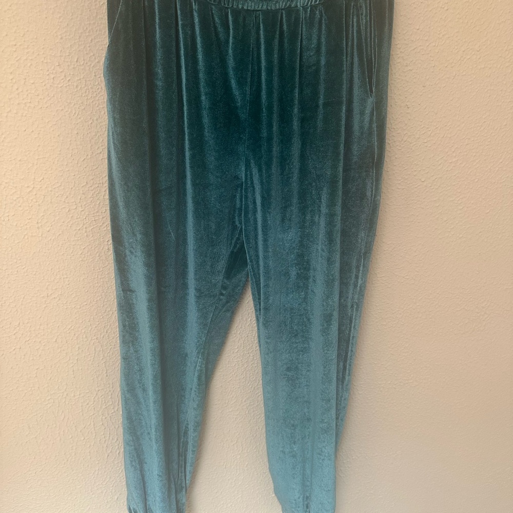 Velvet Teal Pants